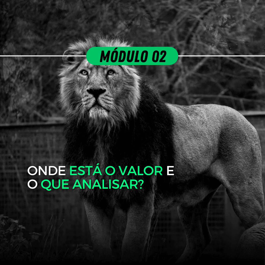 Módulo Módulo 02 - Valores e Análises