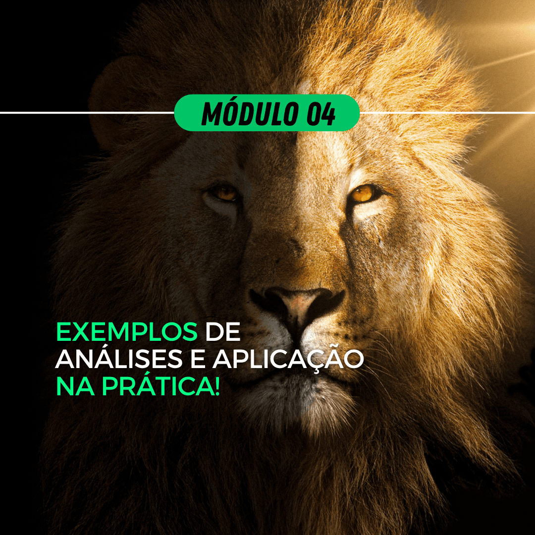 Módulo Módulo 04 - Exemplos de Análise e Aplicação na Prática